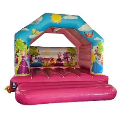 Princess-bouncy-castle.webp
